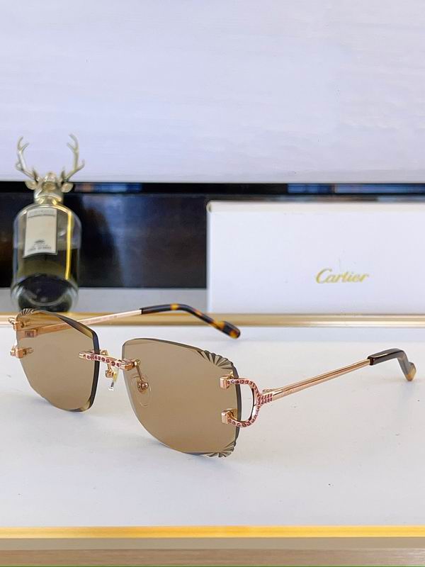 Cartier Glasses sms472