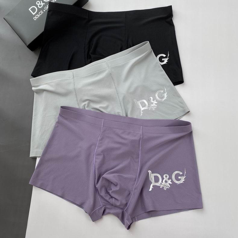 DG boxer L-3XL 08