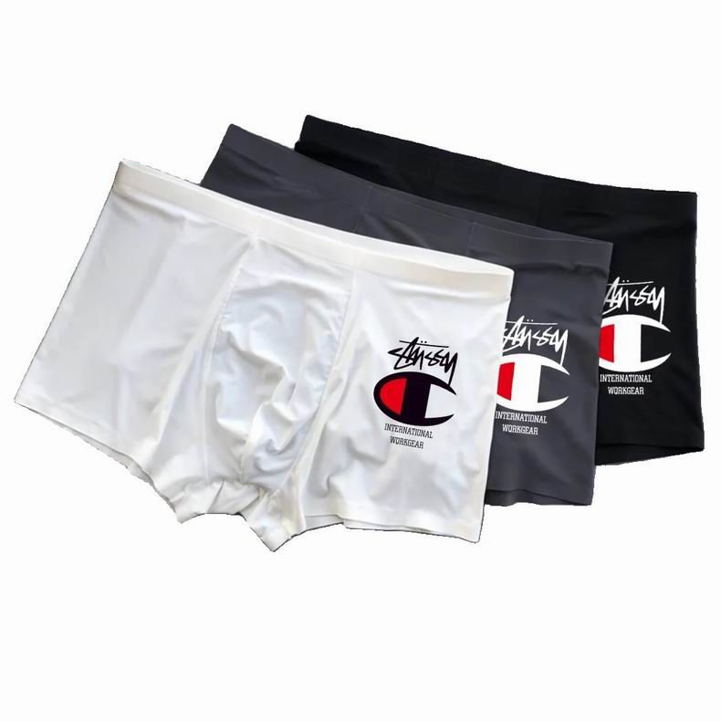 Champion boxer 0704