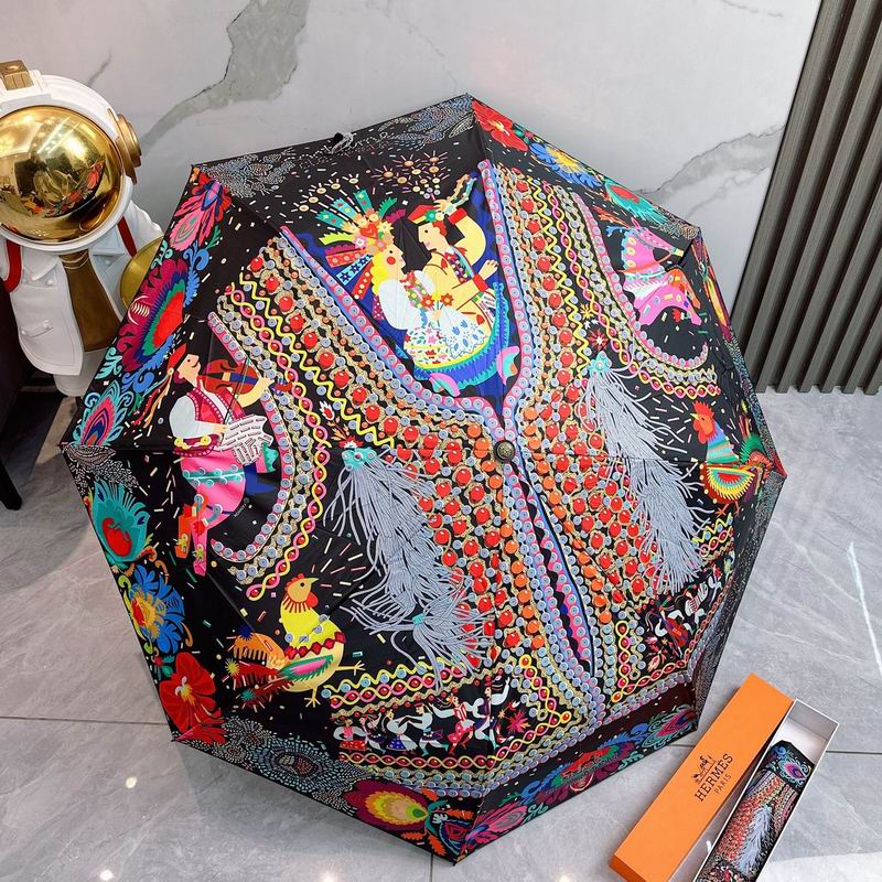 Hermes Umbrella 11