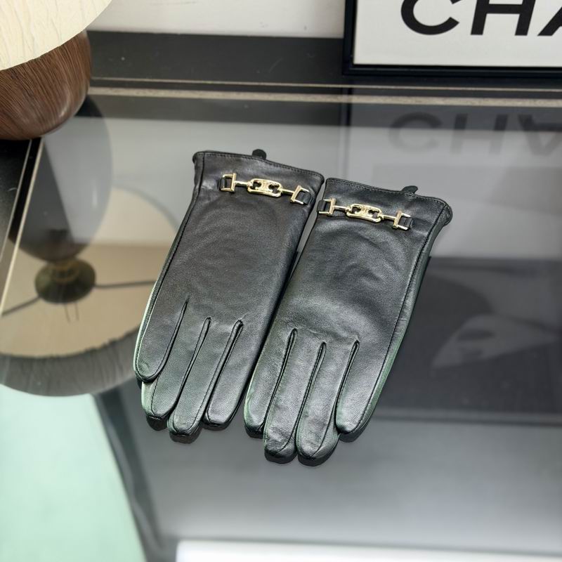 Celine gloves dx06