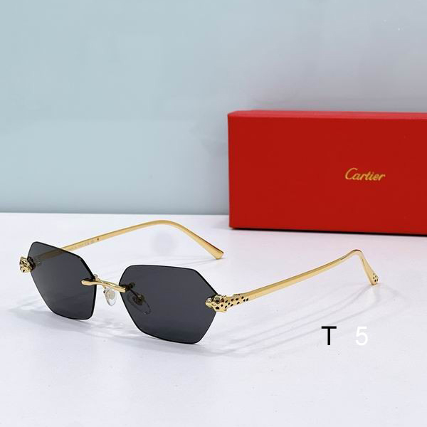 Cartier CT0396 53 20-145 F