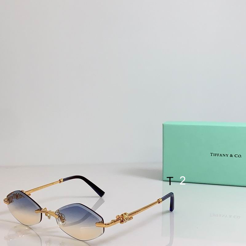 TIFFANY Co ModTF202 57 19-145 b