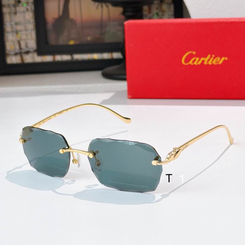 Cartier CT0061O 130 a