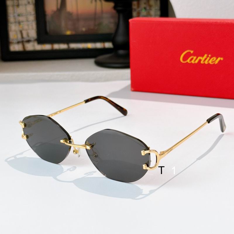 Cartier CT0092O 140 a